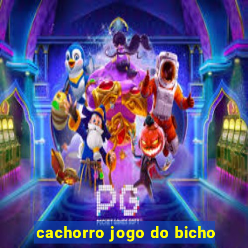 cachorro jogo do bicho